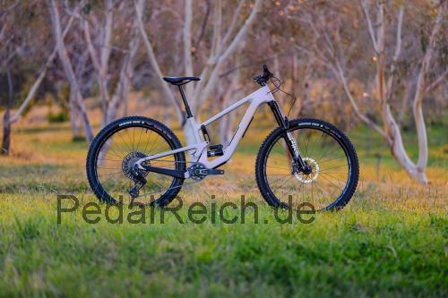 Santa Cruz Furtado  technische daten 